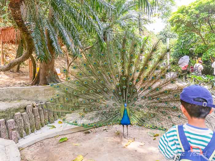 baiyun thesanetravel.com 14