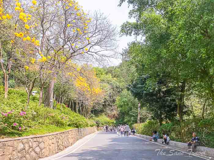 baiyun thesanetravel.com 18