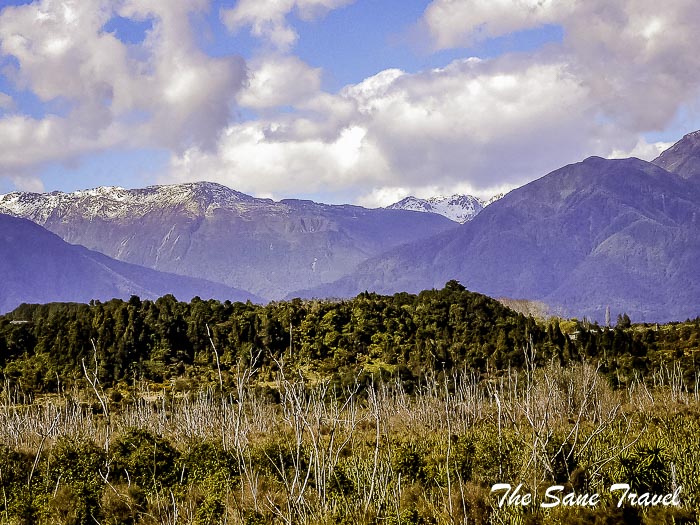 29 tranzalpine train thesanetravel.com TranzAlpine P1330732