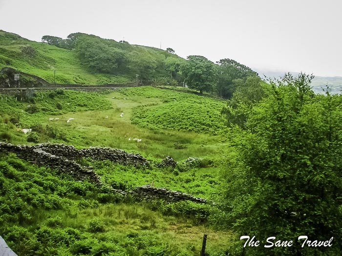 54 wales scenic railway thesanetravel.com IMG 7627