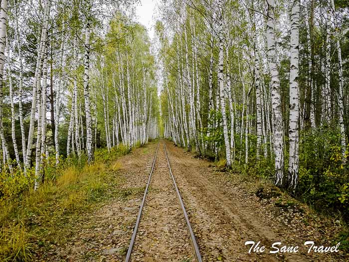 74 balozi peat train thesanetravel.com P2140725