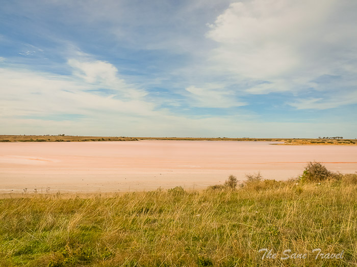 185 pink thesanetravel.com P1742634