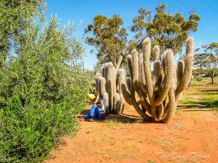 93 cactus thesanetravel.com P1731302