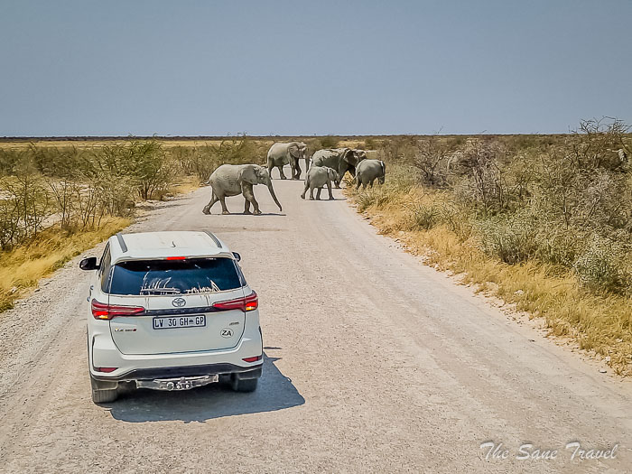 104 namibia thesanetravel.com 20240918 115752