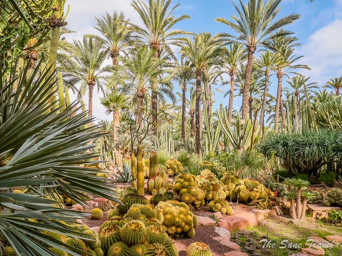 125 alicante thesanetravel.com P1499359