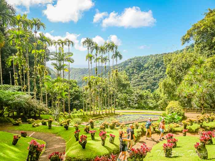 16 martinique thesanetravel.com P1544601