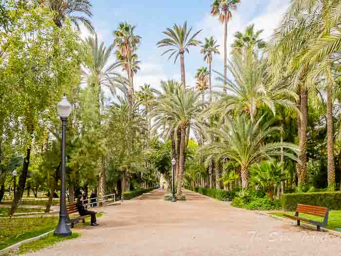 70 elche thesanetravel.com P1499153