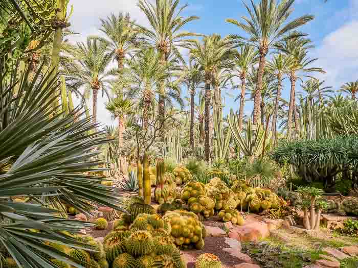 75 elche thesanetravel.com P1499359