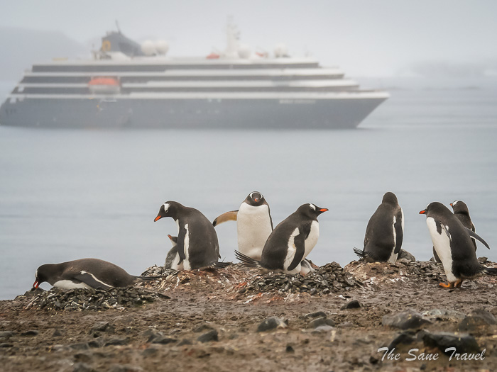 31 ship thesanetravel.comP1371559