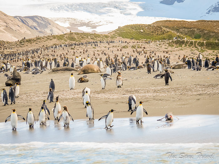 124 3 January Hercules and  thesanetravel.comP1359644