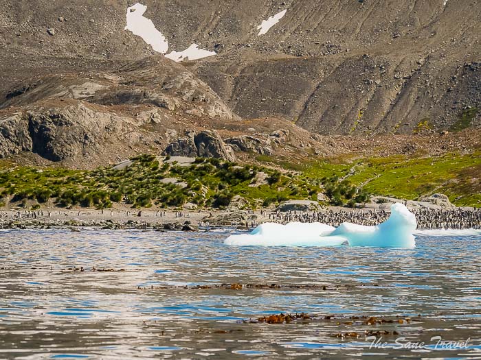 150 4 january gold harbour thesanetravel.comP1359843