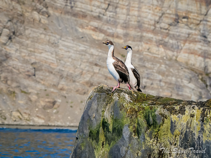 151 4 january gold harbour thesanetravel.comP1359865