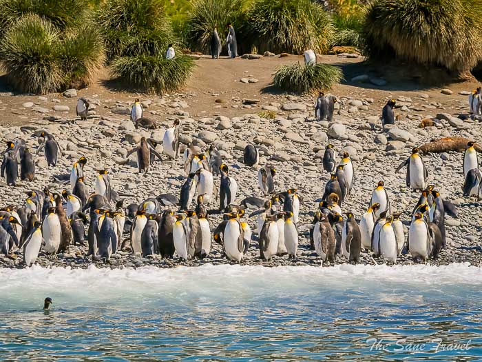 152 4 january gold harbour thesanetravel.comP1359897