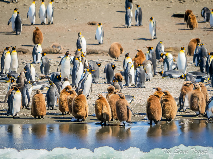 154 4 january gold harbour thesanetravel.comP1359984