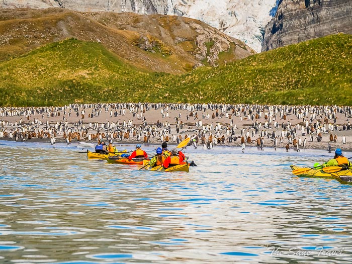 157 4 january gold harbour thesanetravel.comP1360058