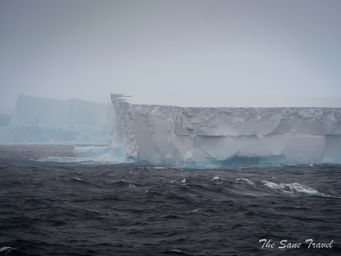 Review of Penguin safari trip by Quark Expeditions