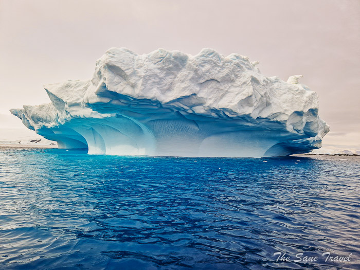 179 anarctica end thesanetravel.com20240108 095130