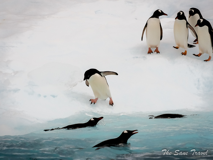 182 8 january kinnes brown thesanetravel.comP1360444