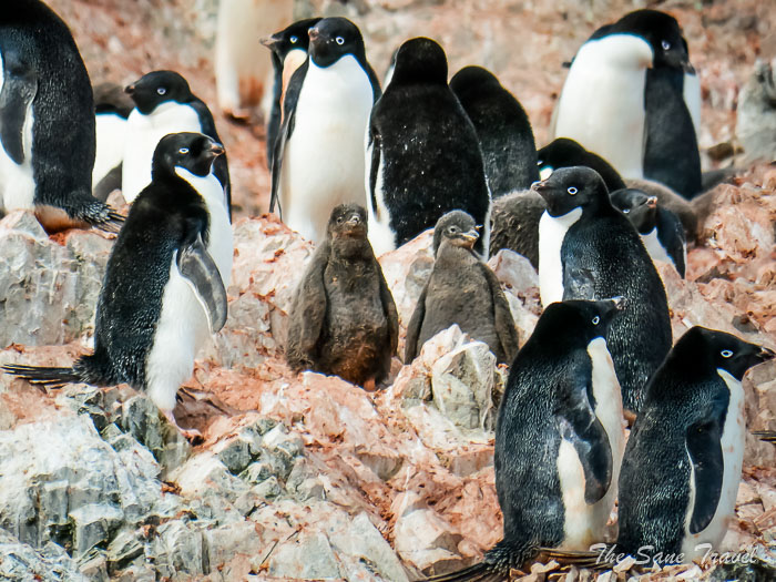 184 8 january kinnes brown thesanetravel.comP1360583