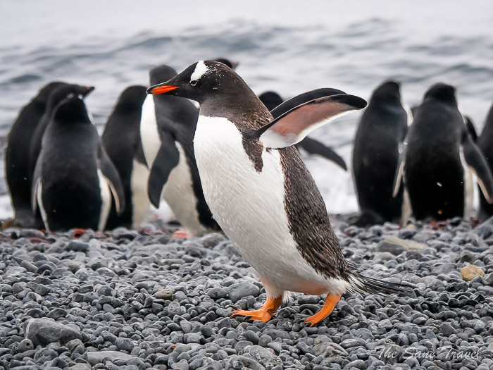 190 8 january kinnes brown thesanetravel.comP1360793