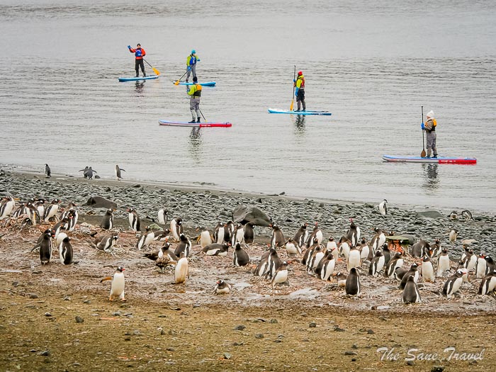 195 9 january aitcho thesanetravel.comP1361170