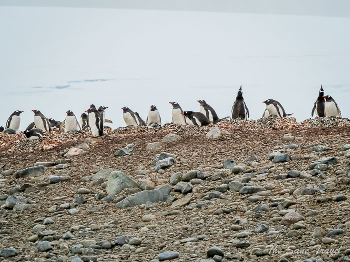 212 9 january aitcho thesanetravel.comP1371747