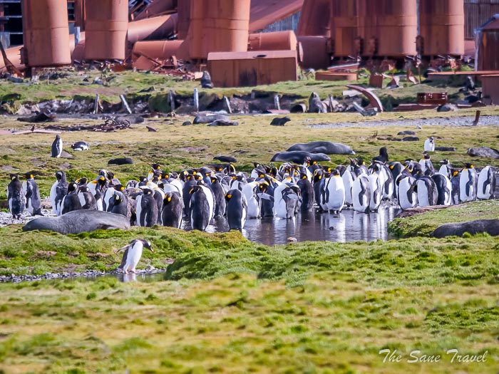 25 stromness thesanetravel.comP1349086