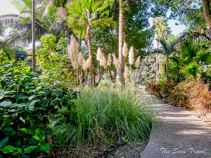 69 arucas garden thesanetravel.comP1276077