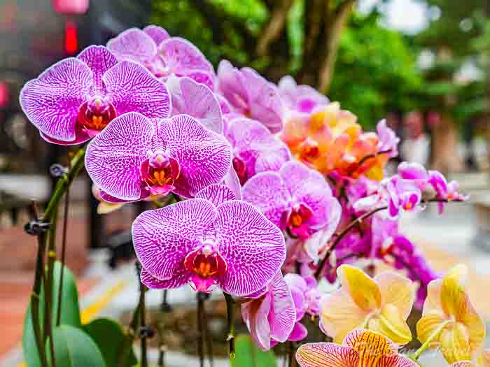 21areas baomo thesanetravel.com P1545924