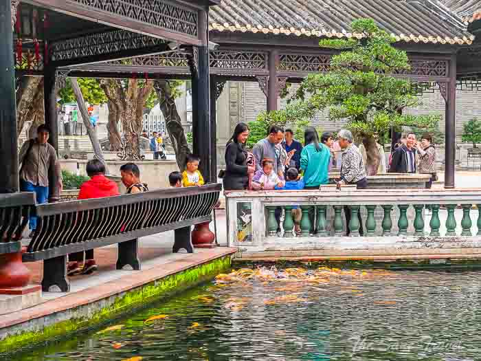 70koi baomo thesanetravel.com P1545926