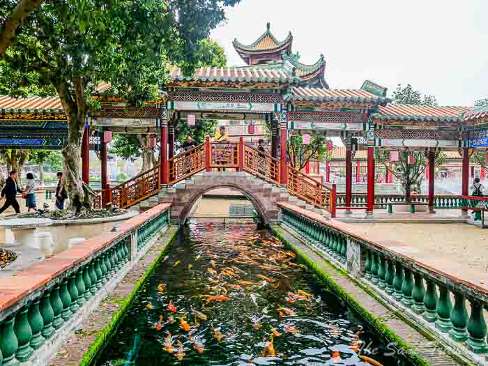 72koi baomo thesanetravel.com P1546045