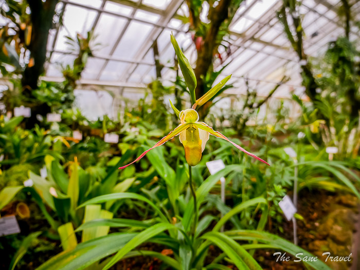 34 botanical thesanetravel.comP1930051
