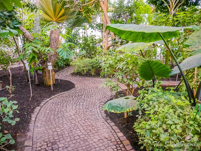 35 botanical thesanetravel.comP1930055