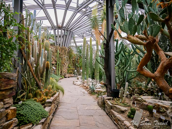 38 botanical thesanetravel.comP1930156