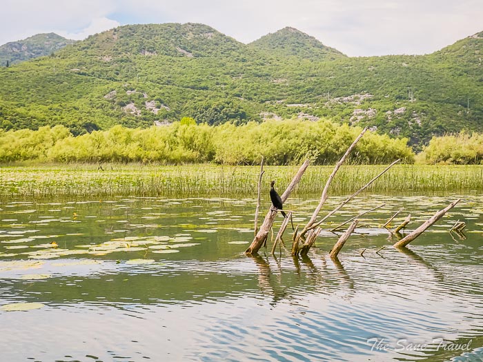 71 skadarr thesanetravel.comP1397578