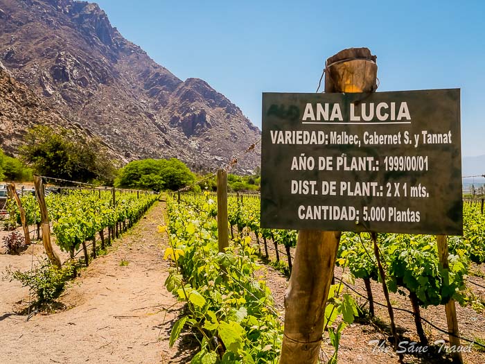 43 fincas les nubes thesanetravel.comP1253132