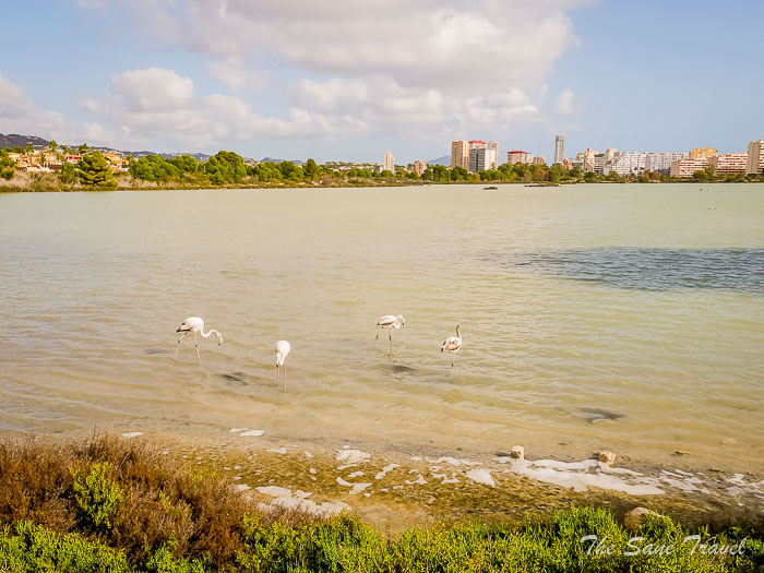 15 salinas thesanetravel.com P1488917