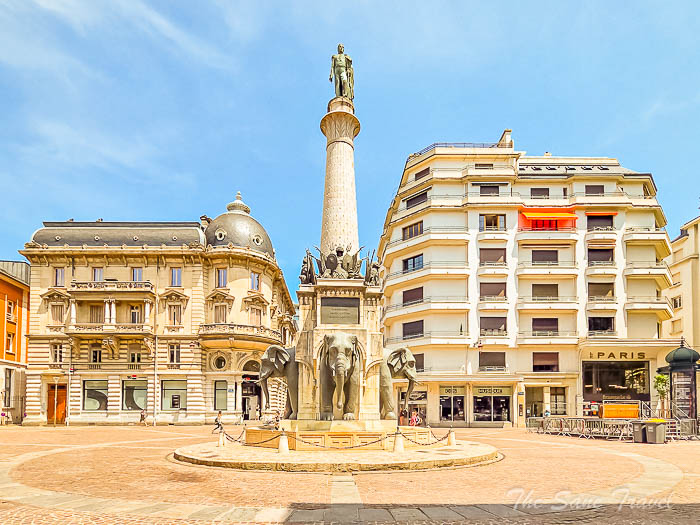 41 elephant thesanetravel.com 20250620 134728