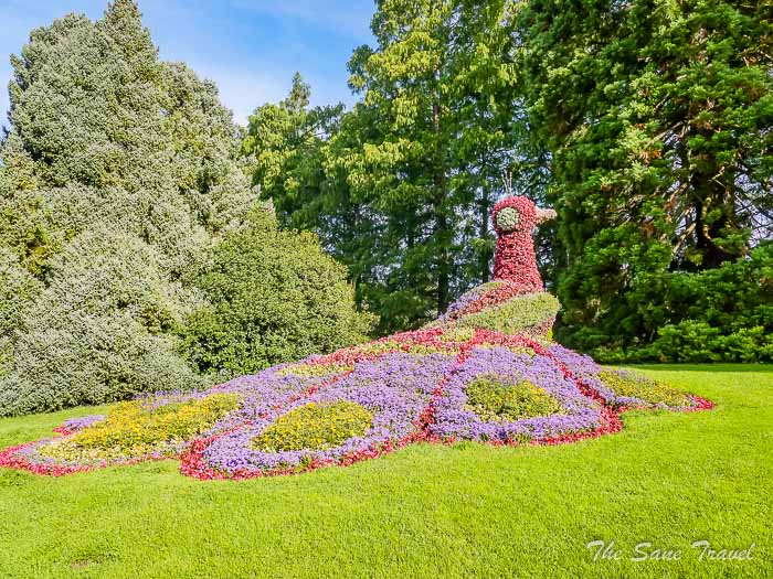 20 mainau thesanetravel.com P1345575