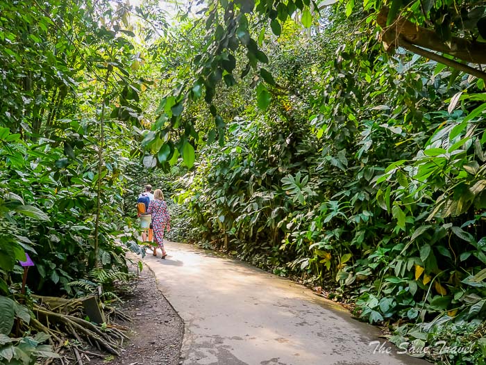 131 eden thesanetravel.comP1228915