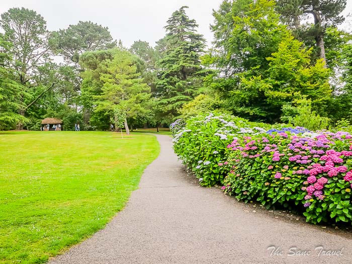 151 trellisick thesanetravel.comP1217888