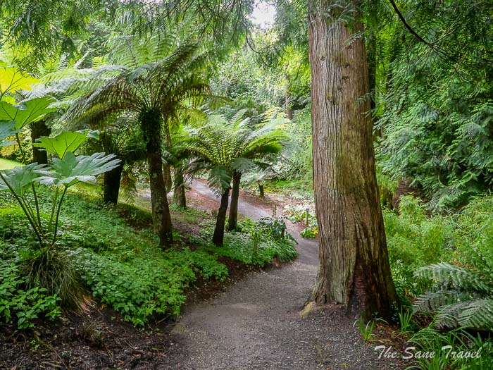 17 trebah garden thesanetravel.comP1217545