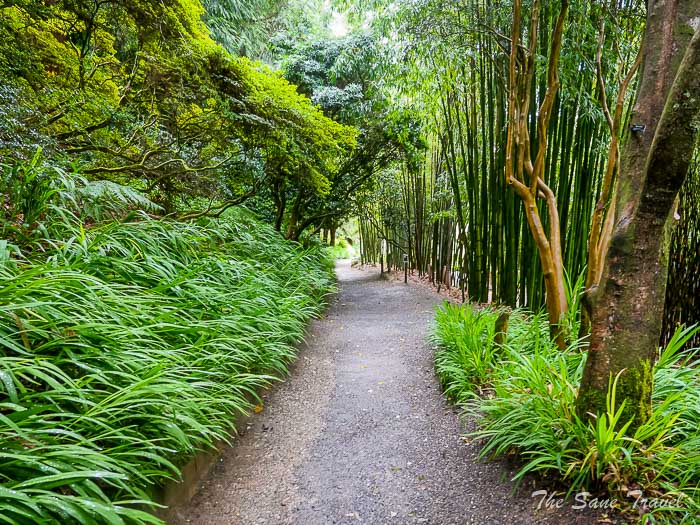 18 trebah garden thesanetravel.comP1217550