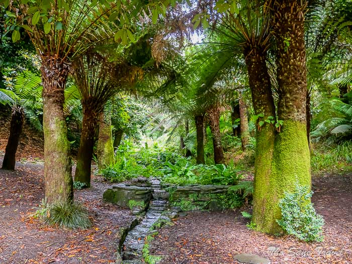 30 trebah garden thesanetravel.comP1217672