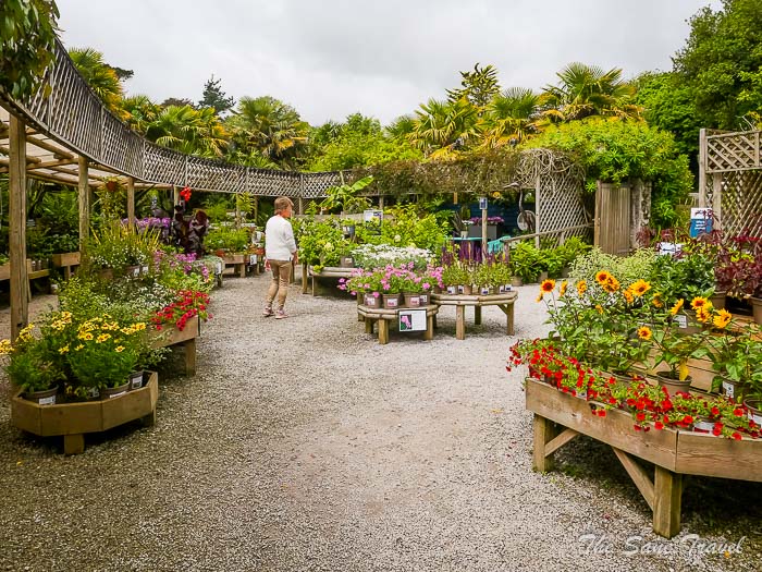 32 trebah garden thesanetravel.comP1217678