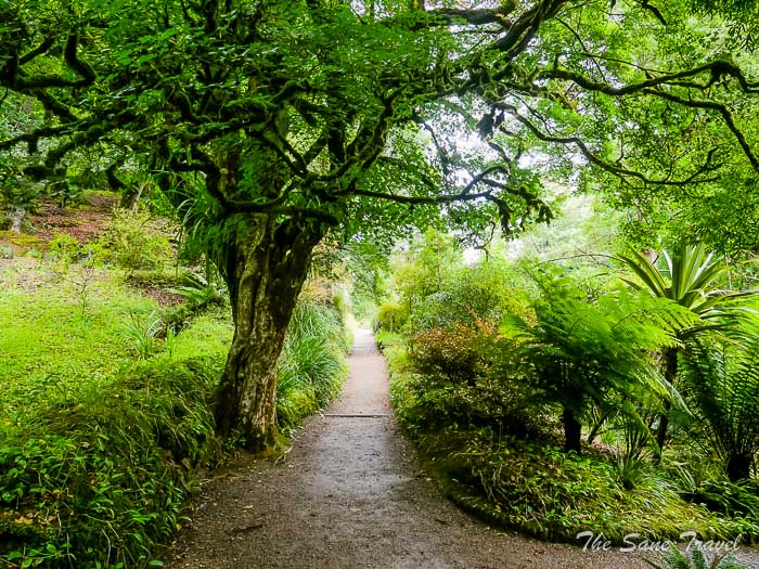 41 glendurgan garden thesanetravel.comP1217697