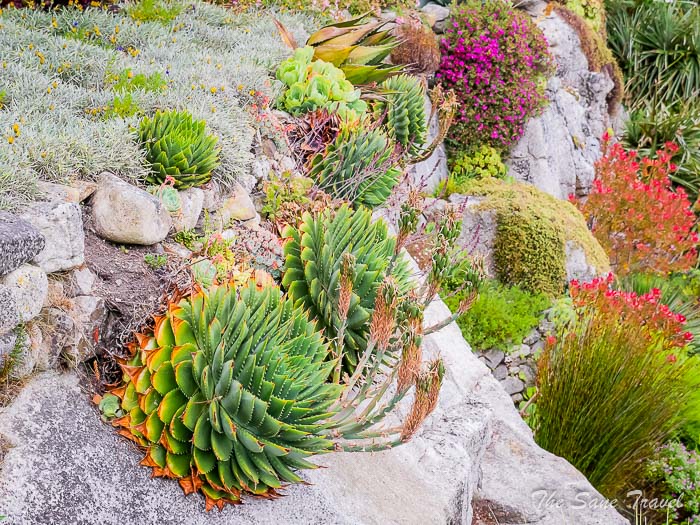 75 st michaels mount thesanetravel.comP1228365