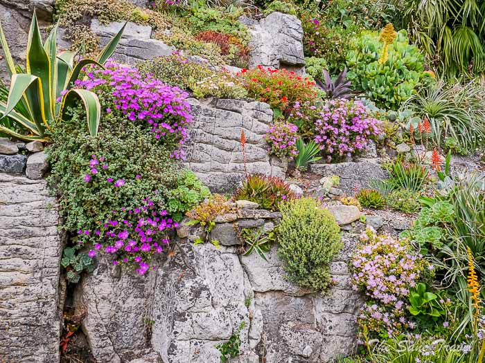 78 st michaels mount thesanetravel.comP1228392