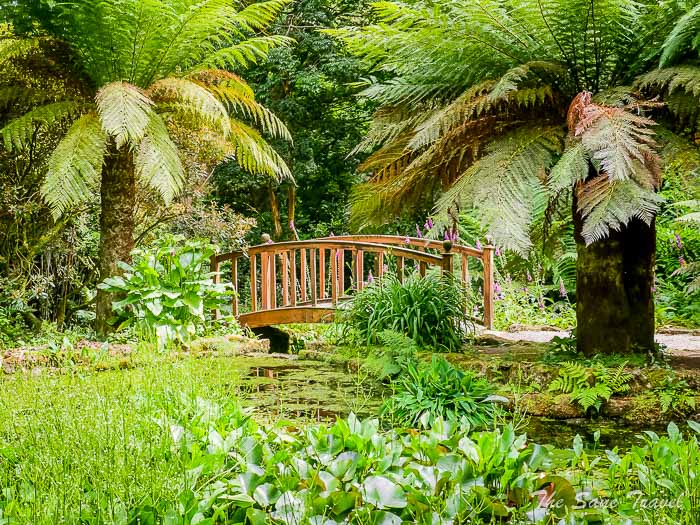 92 trengwainton gardens thesanetravel.comP1228473