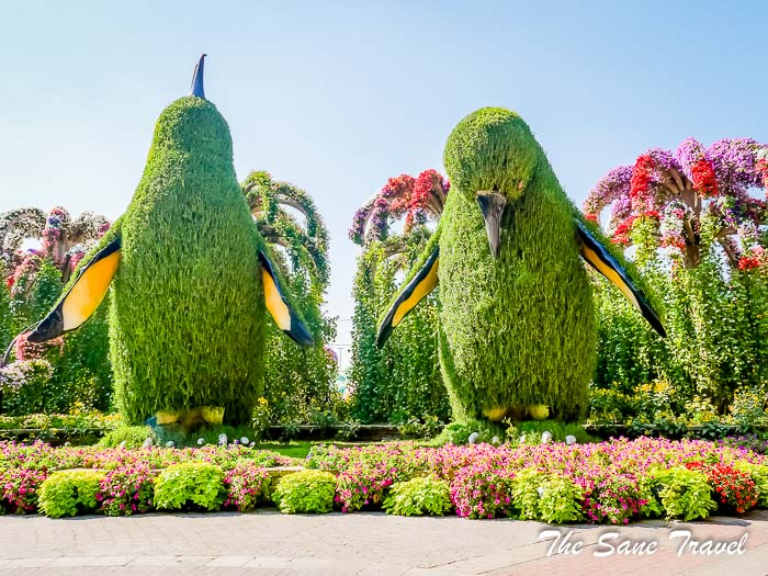 13 miracle garden thesanetravel.com P1157456